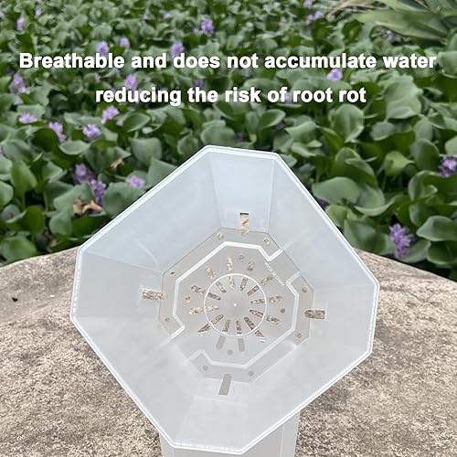 Miniatura 3 de Tomsurch Maceta de orquídeas, 1 maceta transparente de 2.75, 3.55 y 4.73 pulgadas para trasplantar, maceta de plástico para orquídeas para