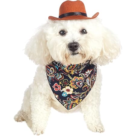 Amazon.com : Coomour Cowboy Dog Hat and 