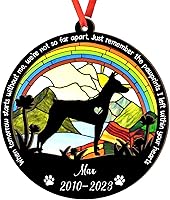 Vista 31 de Adorno de atrapasoles de setter irlandés personalizado, adorno de Navidad de Setter irlandés, regalo para perro amante, setter irlandés