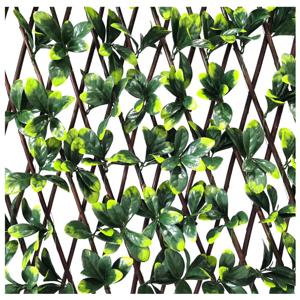 Expanding Wooden Trellis 200cm x 100cm Artificial Privacy Screen Garden Balcony Fence (Bayberry)