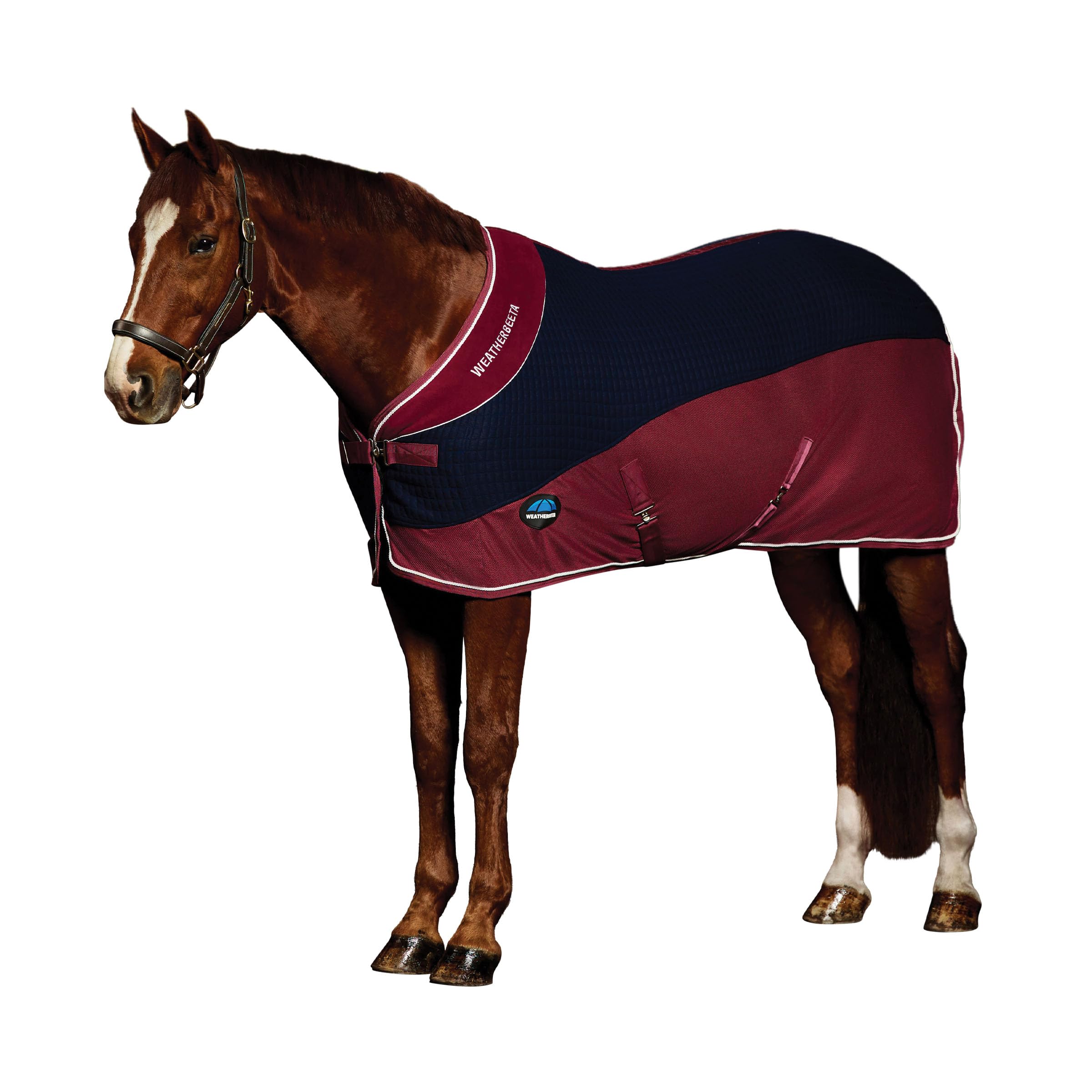 WeatherBeeta Thermo-Air Cooler Standard Neck, Navy/Burgundy, 6'3