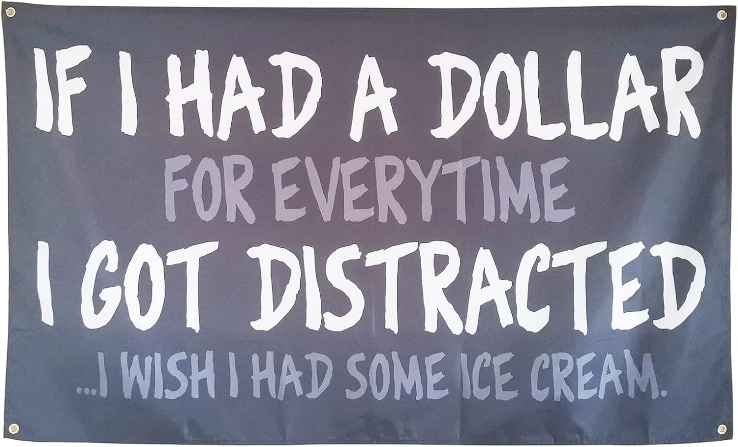 If I Had A Dollar For Everytime Funny Flags for Room Guys Teen College Dorm, 3x5