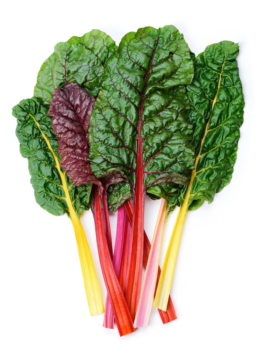 Indica Swiss Chard Collard Leaves 3 Types Mixed Seeds Combo(3 Packets x AVG 30+ Seeds Each) by Super Agri Green