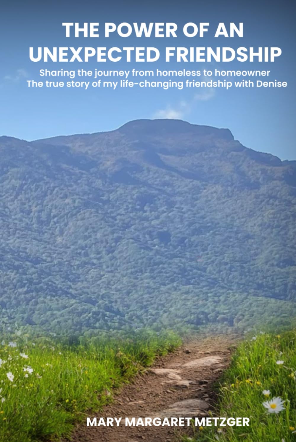 THE POWER OF AN UNEXPECTED FRIENDSHIP: Sharing the journey from homeless to homeowner. The true story of my life-changing friendship with DENISE