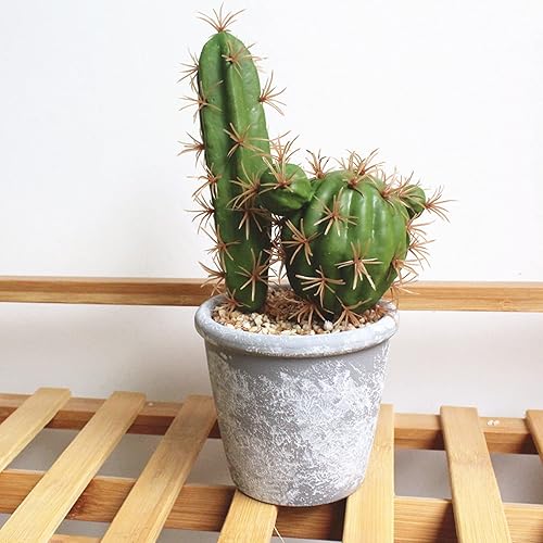 Miniatura 3 de HinyoCo 6 piezas de cactus artificiales de imitación de cactus, arreglo floral, material vegetal verde para decoración del hogar y la oficina