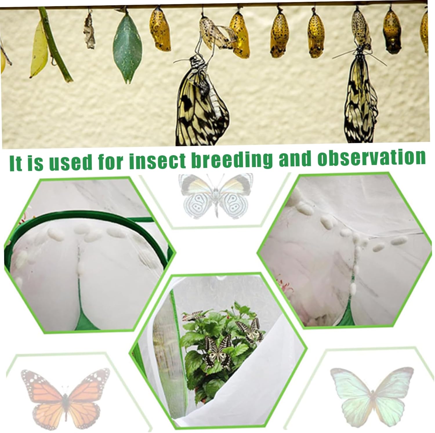 Butterfly Cage 2Pcs Butterfly Habitat Cage 12x12x12'' Foldable House Garden Pop-up Mesh Tent Net Caterpillars for Kit for Kids Raising