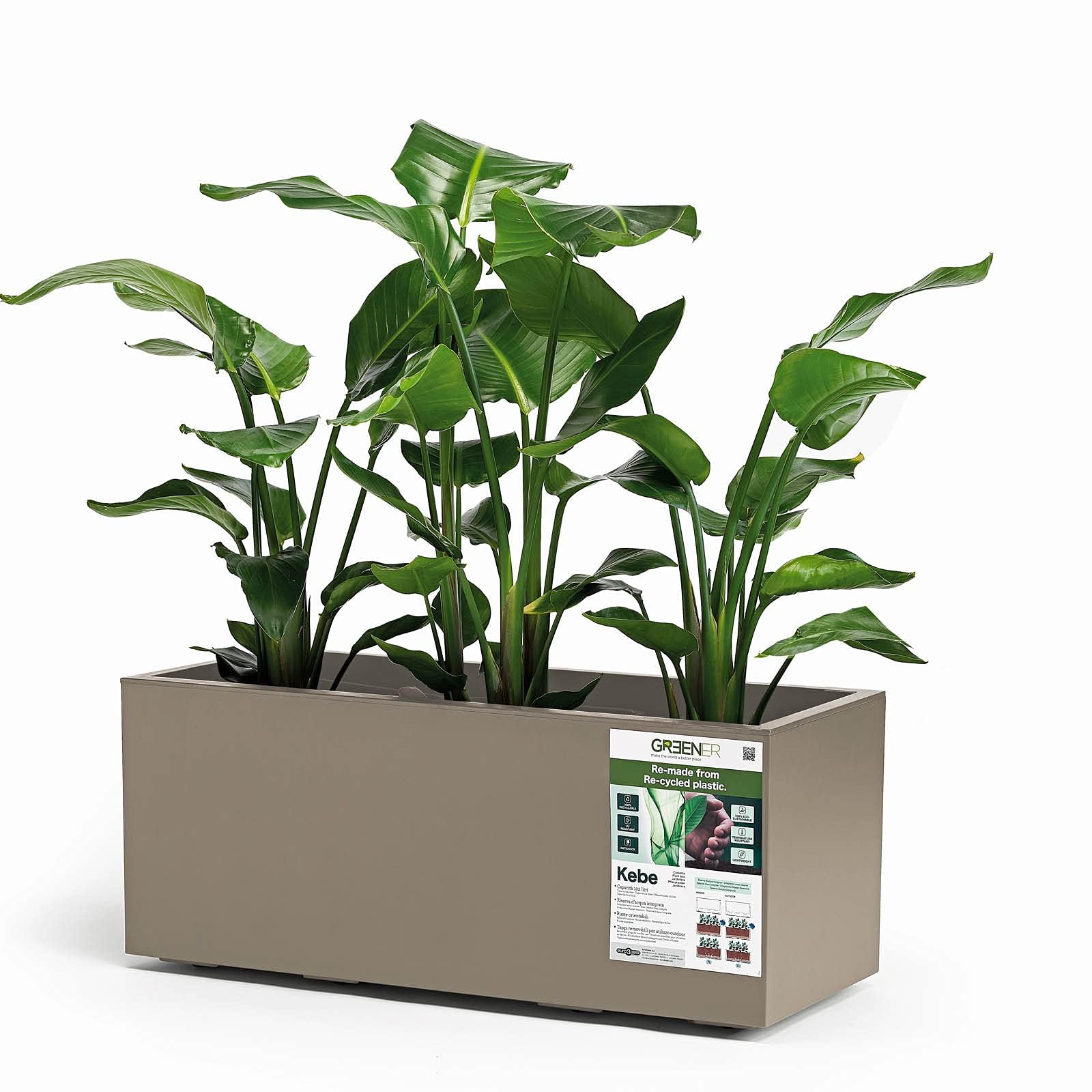 Euro 3 Plast Kebe Kiste aus recyceltem Kunststoff – Kasten mit integriertem Wasserspeicher, 100 cm, Taupe