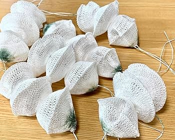 Amazon.co.jp: コールマン互換用 NORTHSTAR (ノーススター