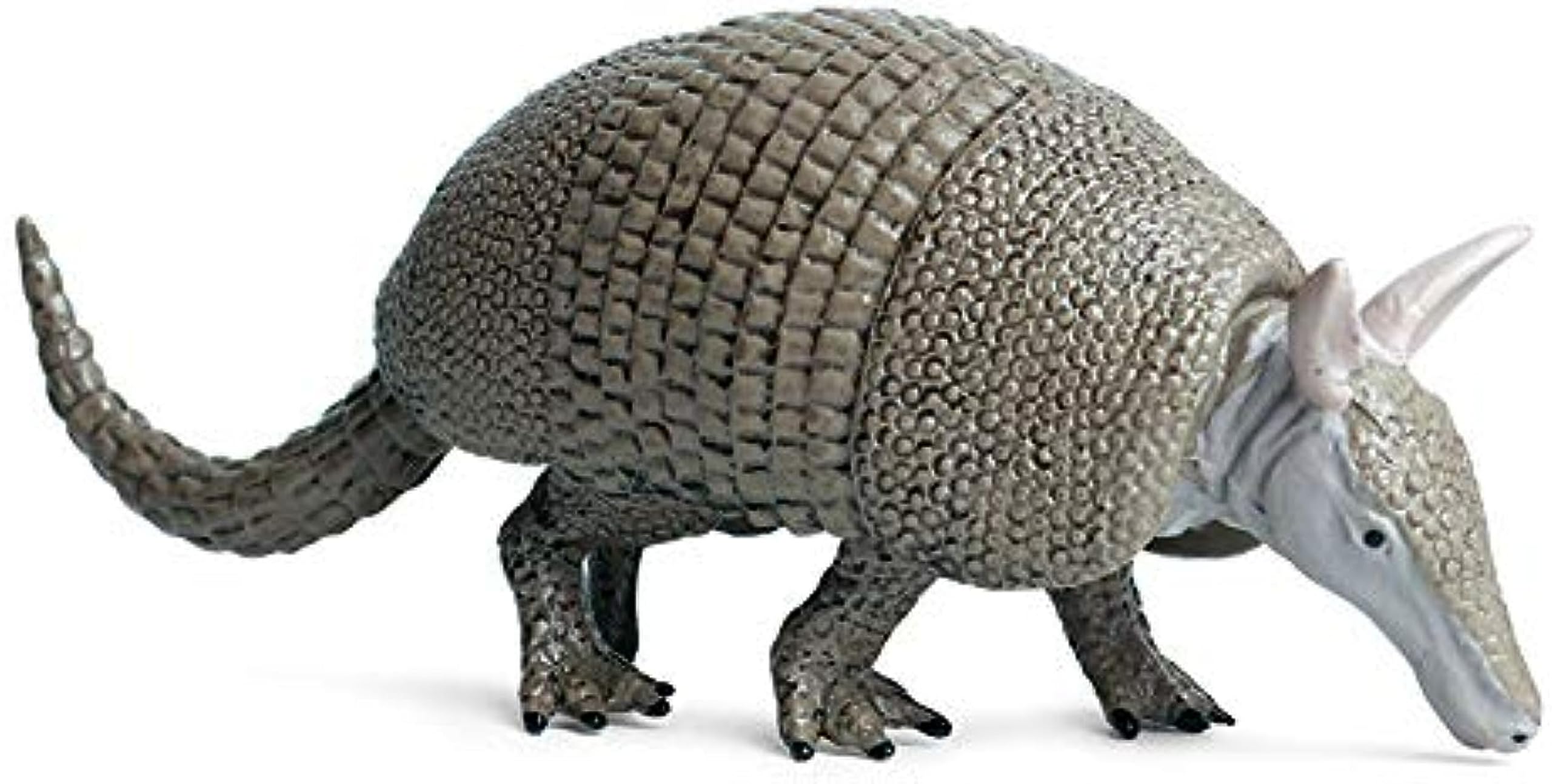 Amazon | EUHELOPA アルマジロ フィギュア 動物 おもちゃ 被甲目 15cm