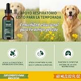 Ver la foto 2