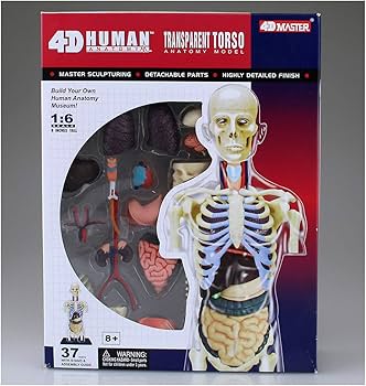 Amazon.co.jp: 青島文化教材社 スカイネット 立体パズル 4D VISION