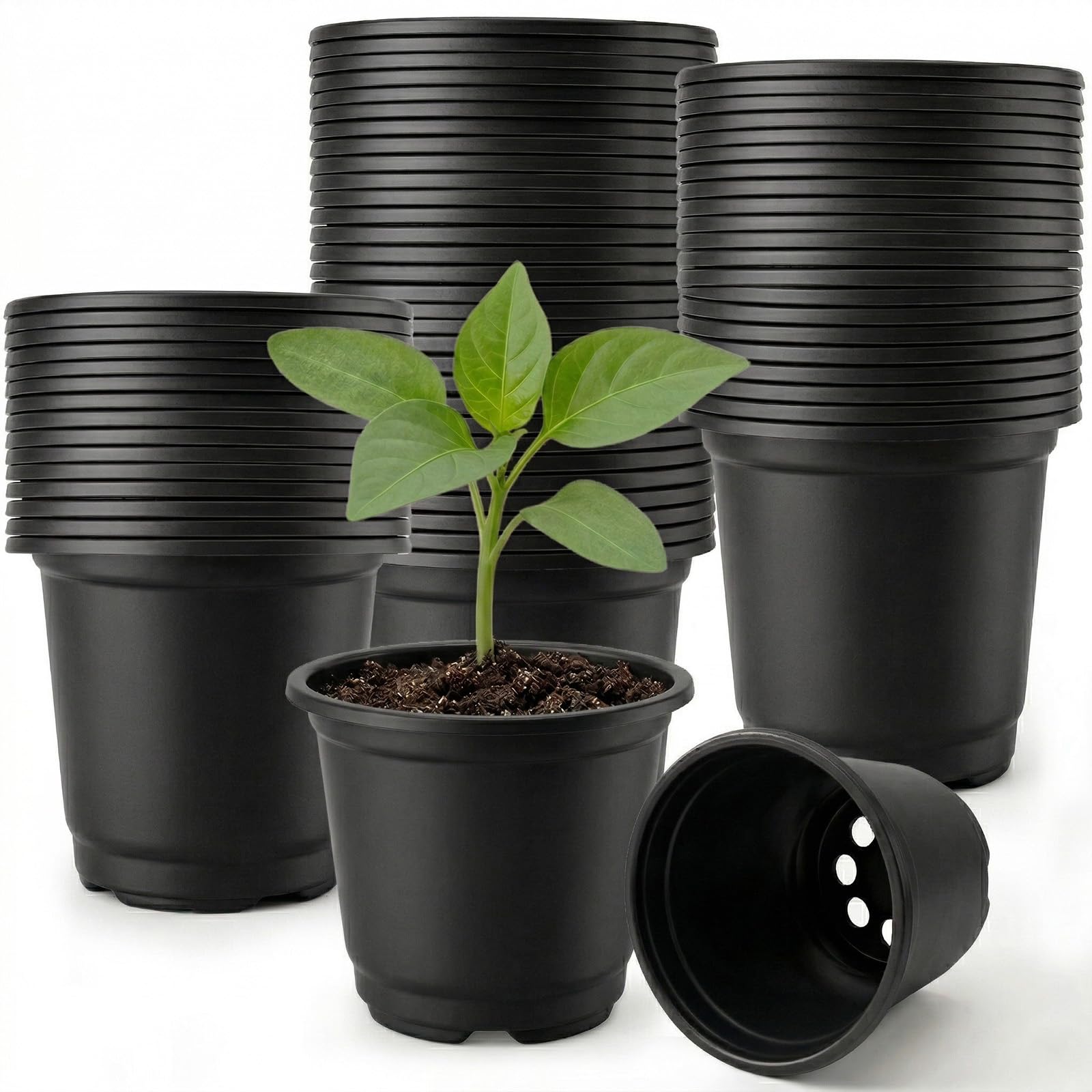 100 Pieces Pot Semis Rond