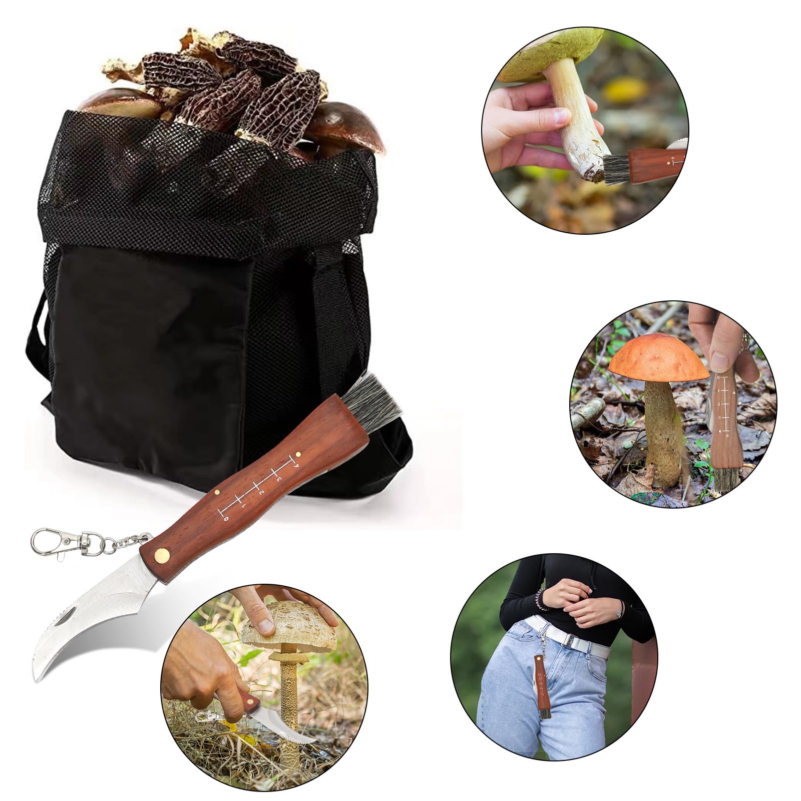 RANJIMA Coltello per Funghi, Coltello Funghi con Spazzola, Borsa da Caccia, Affilacoltelli, Pennello per Funghi, Coltello Pieghevole per Esterni con Manico in Legno, per la Raccolta dei Funghi
