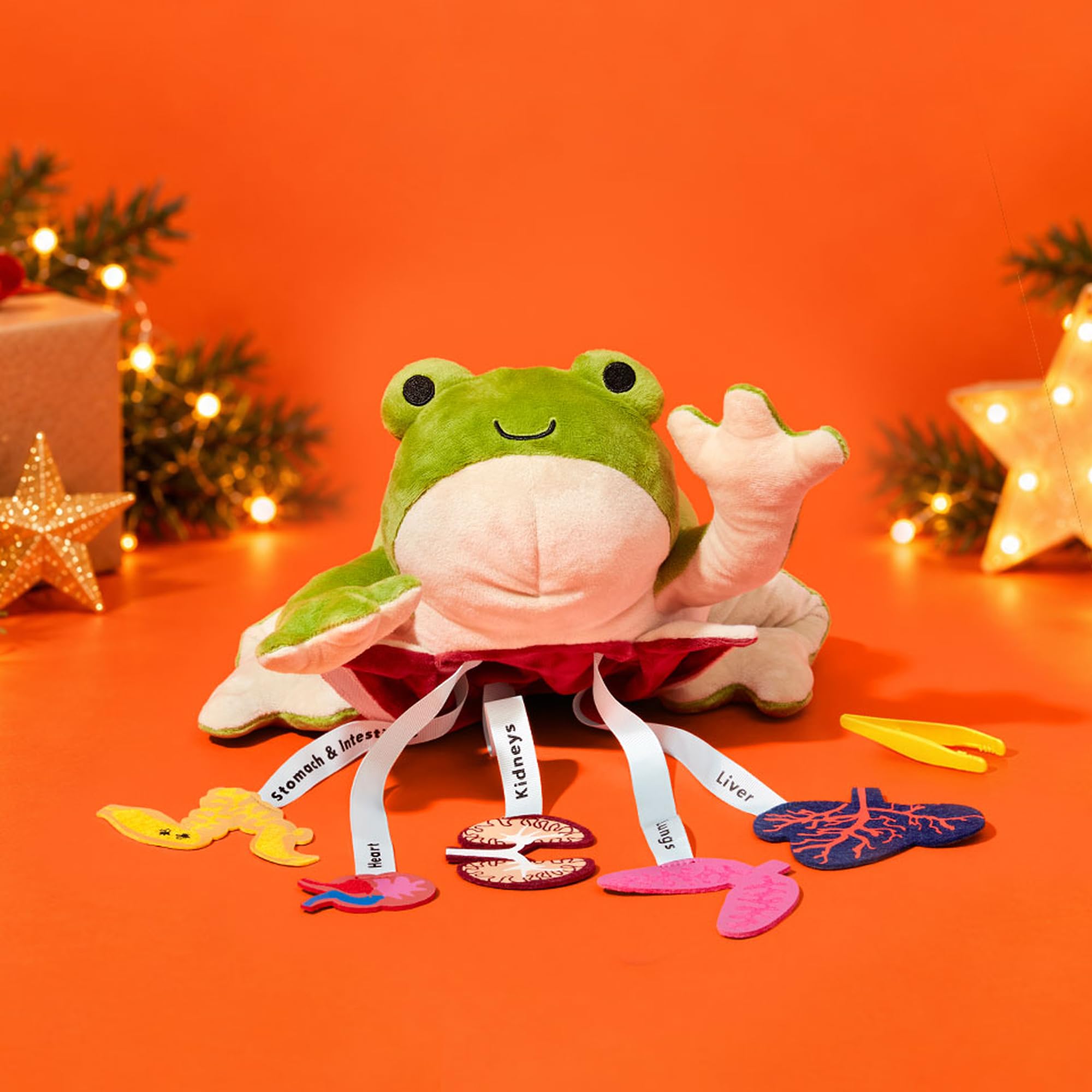 Amazon.com: KiwiCo Froggie Lab Dissection Plush Animal Toy 5-Piece