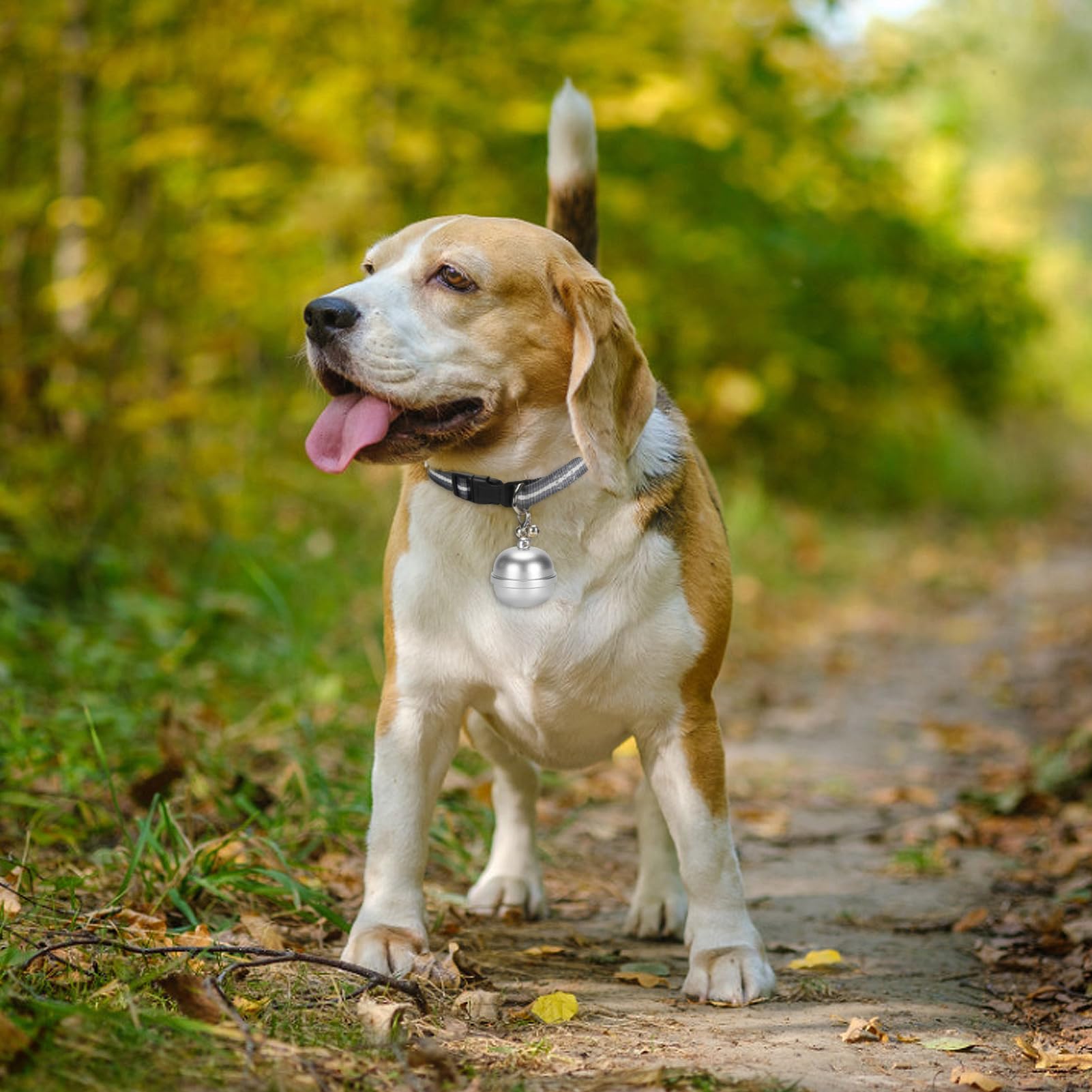 Localizzatore GPS per animali domestici, dispositivo anti | perdita elettronico impermeabile, localizzatore GPS di posizionamento per animali domestici, localizzatore GPS per animali do