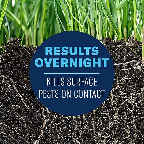 Miniatura 3 de Gránulos mata larvas de 24 horas Bayer- Advanced 700740S 10 libras 1