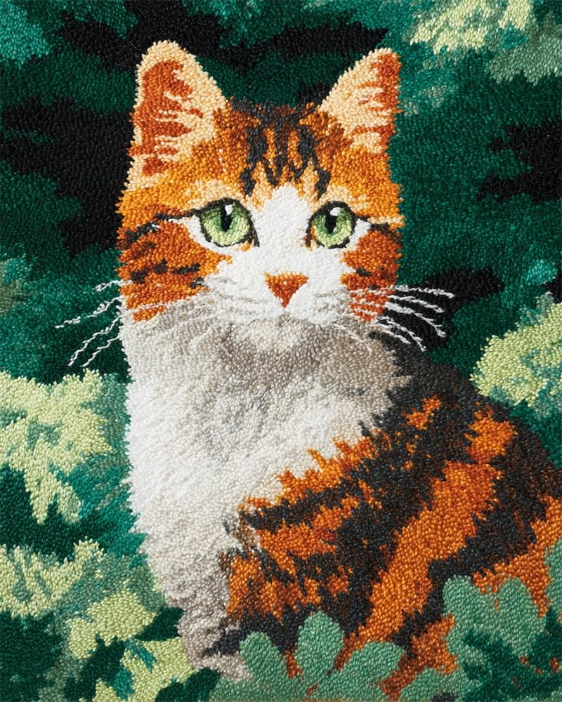 FWRTYCB 3D Latch Hook Rug Kit Tabby Cat