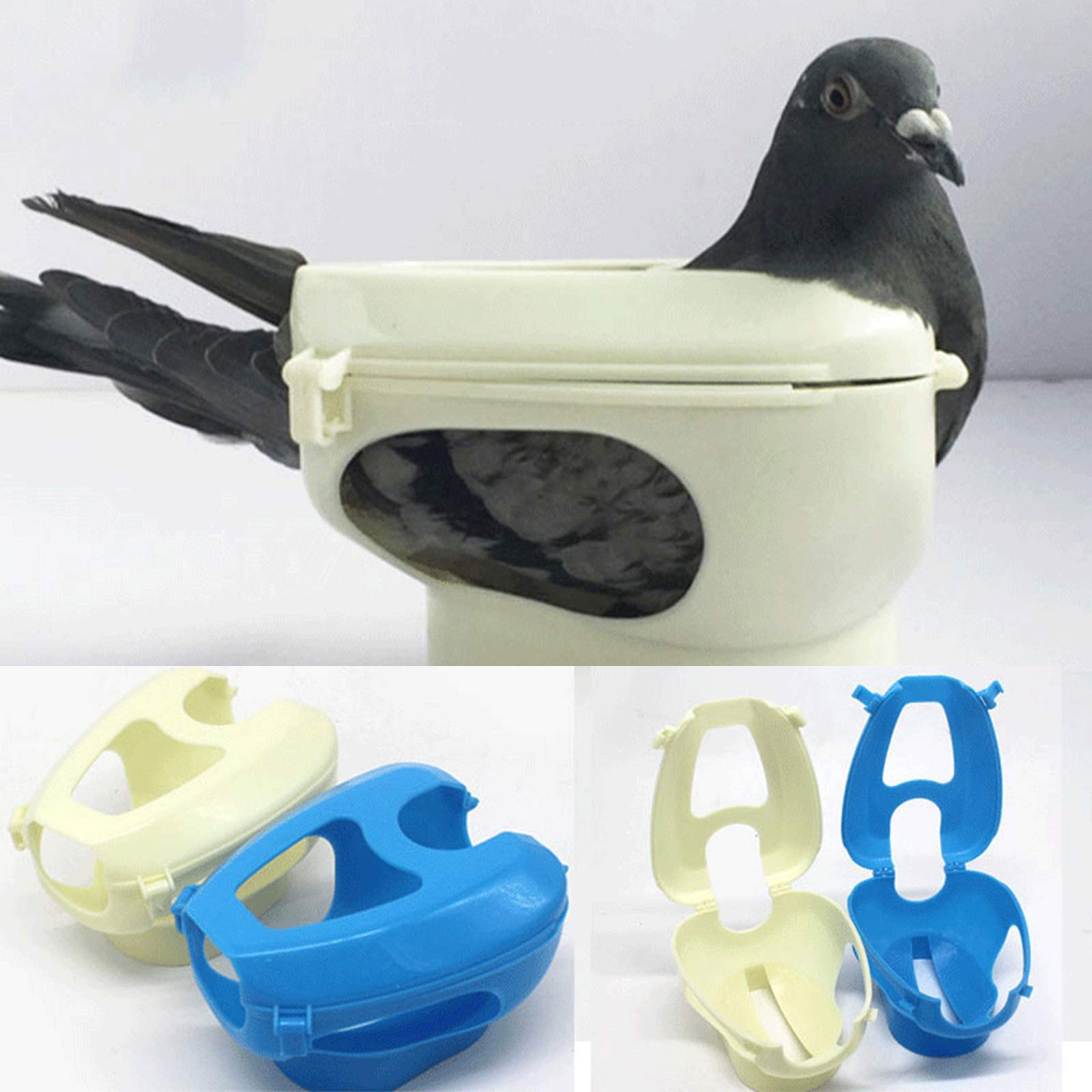 Porte-Pigeons Polyvalent Dove Fixateur d'injection de Vaccination spécial Support de Pigeons Pratique Bleu