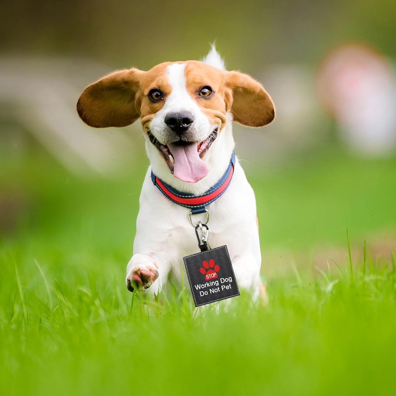 Funny Dog Leash Sleeve Working Dog Do Not Pet Dog Leash Wrap Wrap Alert Hanging ID Patch Tag Pet Birthday Gift (Working Not Pet-Tag) image 5