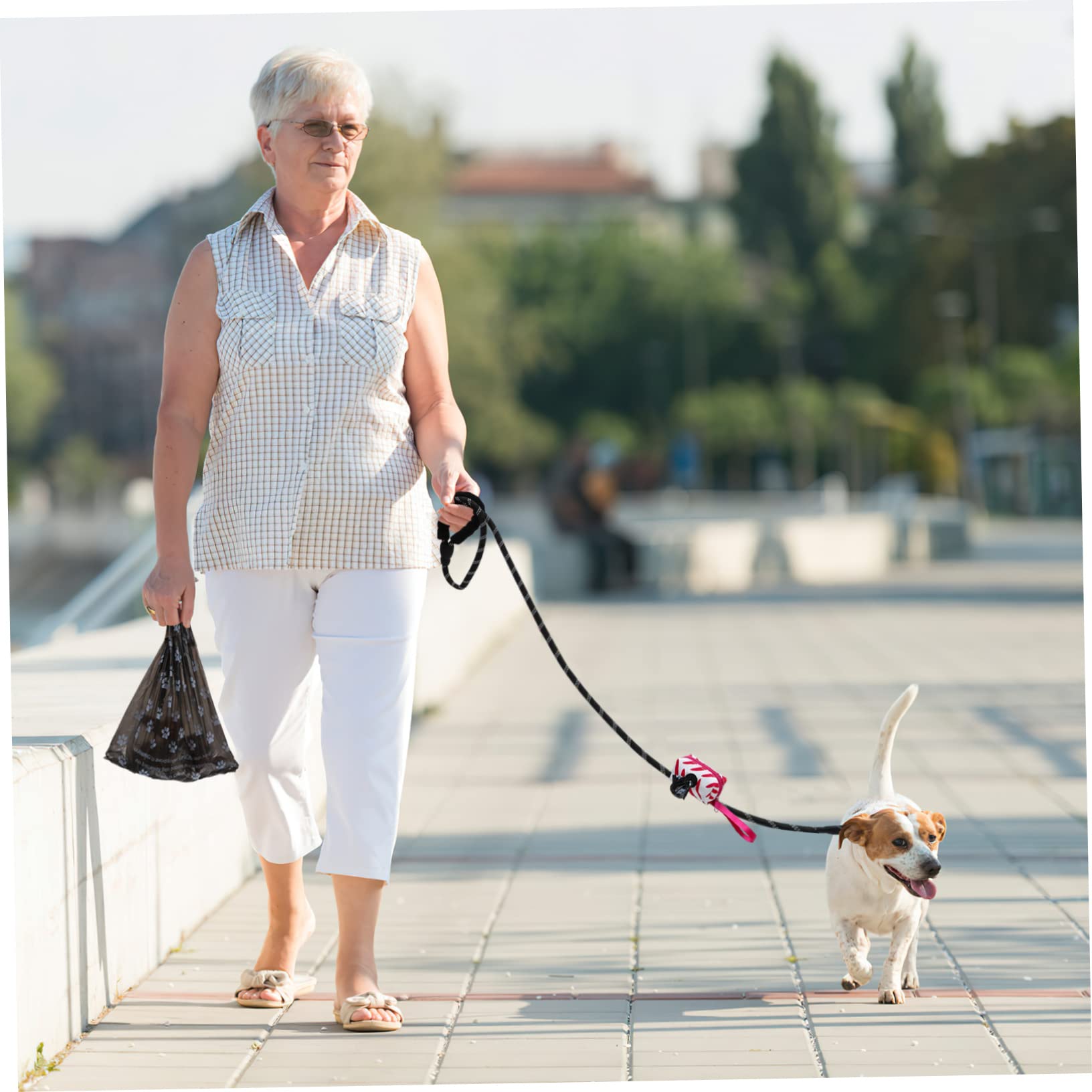 COLLBATH Hundeleine Für Nylon-Leine Mit Beutelspender Für Hundekotbeutel Für Kleine Und Mittelgroße Hunde Draußen
