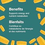 Webber Naturals Vitamin B100 Complex, Timed Release, 140 Tablets, Supports Energy Production and Metabolism, Vegan