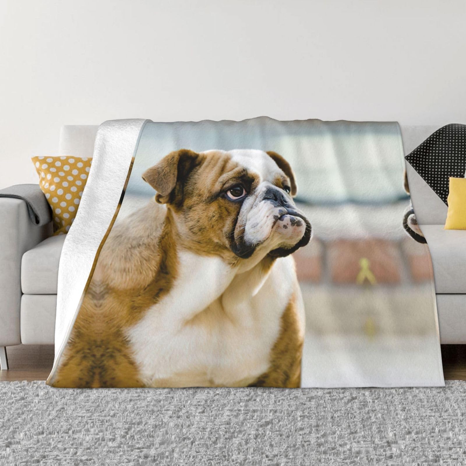 Couverture bouledogue anglais flanelle EdWal jeté de lit chaud plaid canapé 152x127