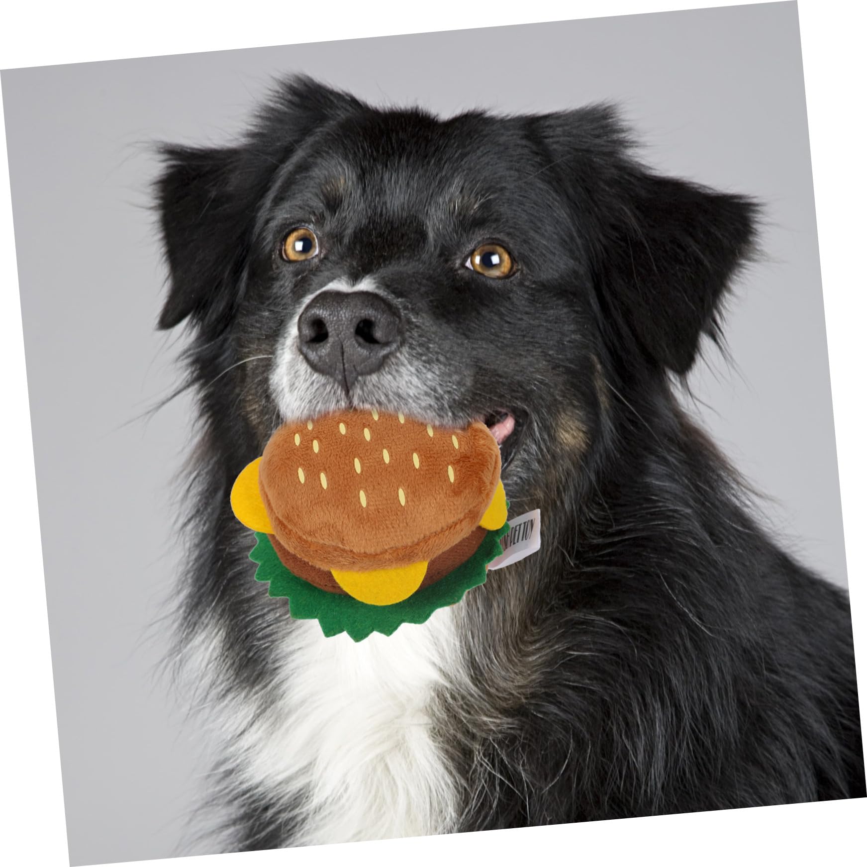 Toyvian Jouet Sonore pour Chien en Peluche, Imitation Alimentaire, Couinement, pour Chiot, Jeu et Mastication, 2 Usages, 100% Amusant