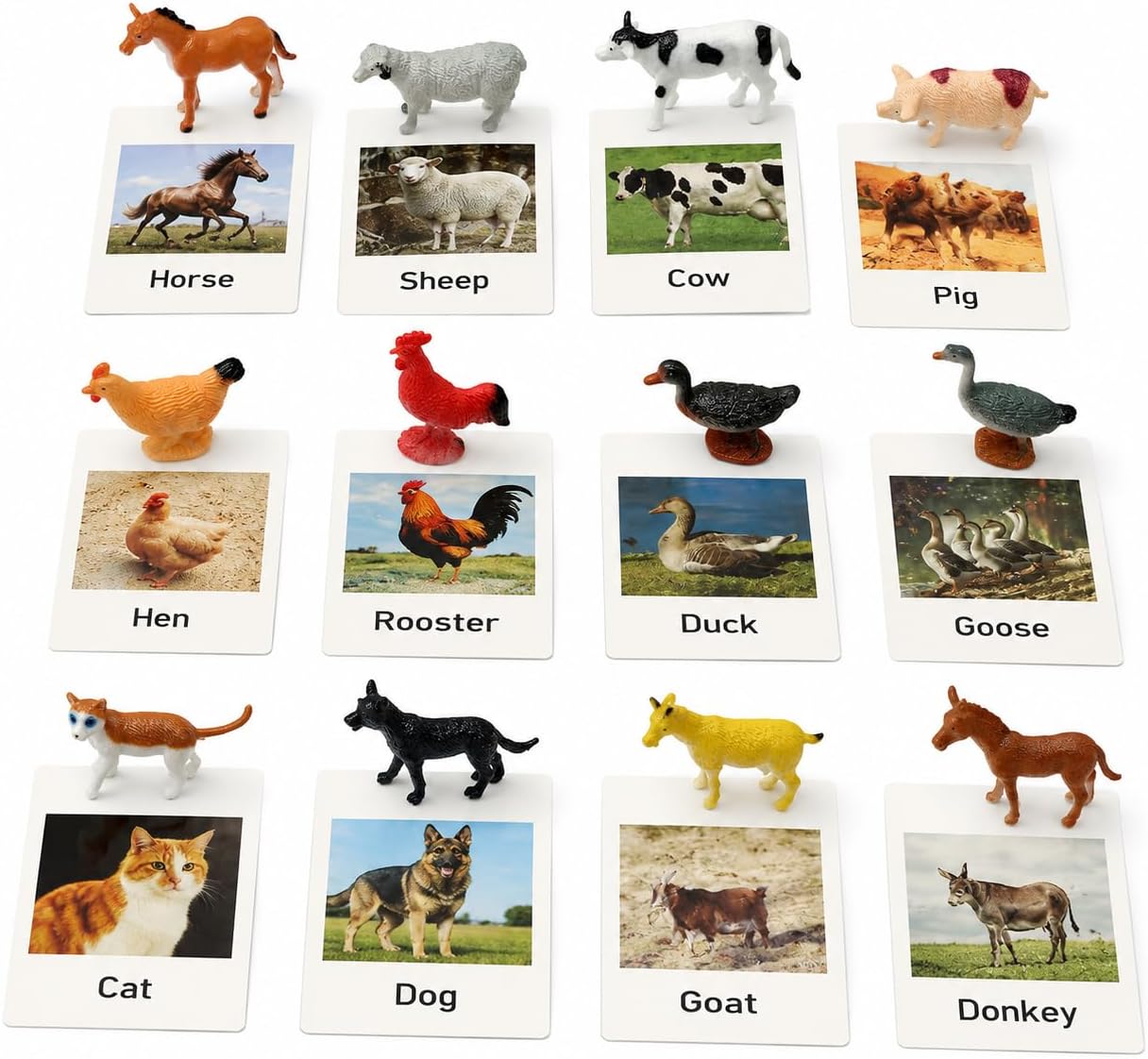 Montessori Farm Animal Matching Game, 12PCS Realistic Farm & Poultry Animal Figurines with Flash Cards, Preschool Educational Learning Toys for Toddlers Kids, Homeschool Language Sensory Toy