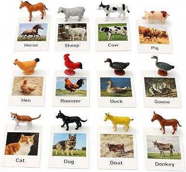 Montessori Farm Animal Matching Game, 12PCS Realistic Farm & Poultry Animal Figurines with Flash Cards, Preschool Educational Learning Toys for Toddlers Kids, Homeschool Language Sensory Toy