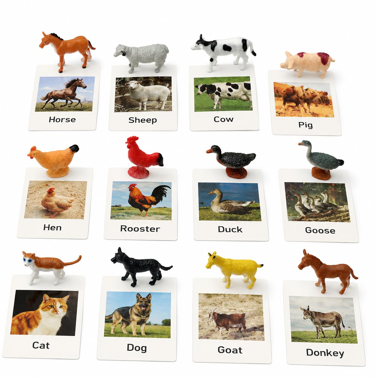 Amazon.com: Montessori Farm Animal Matching Game, 12PCS Realistic