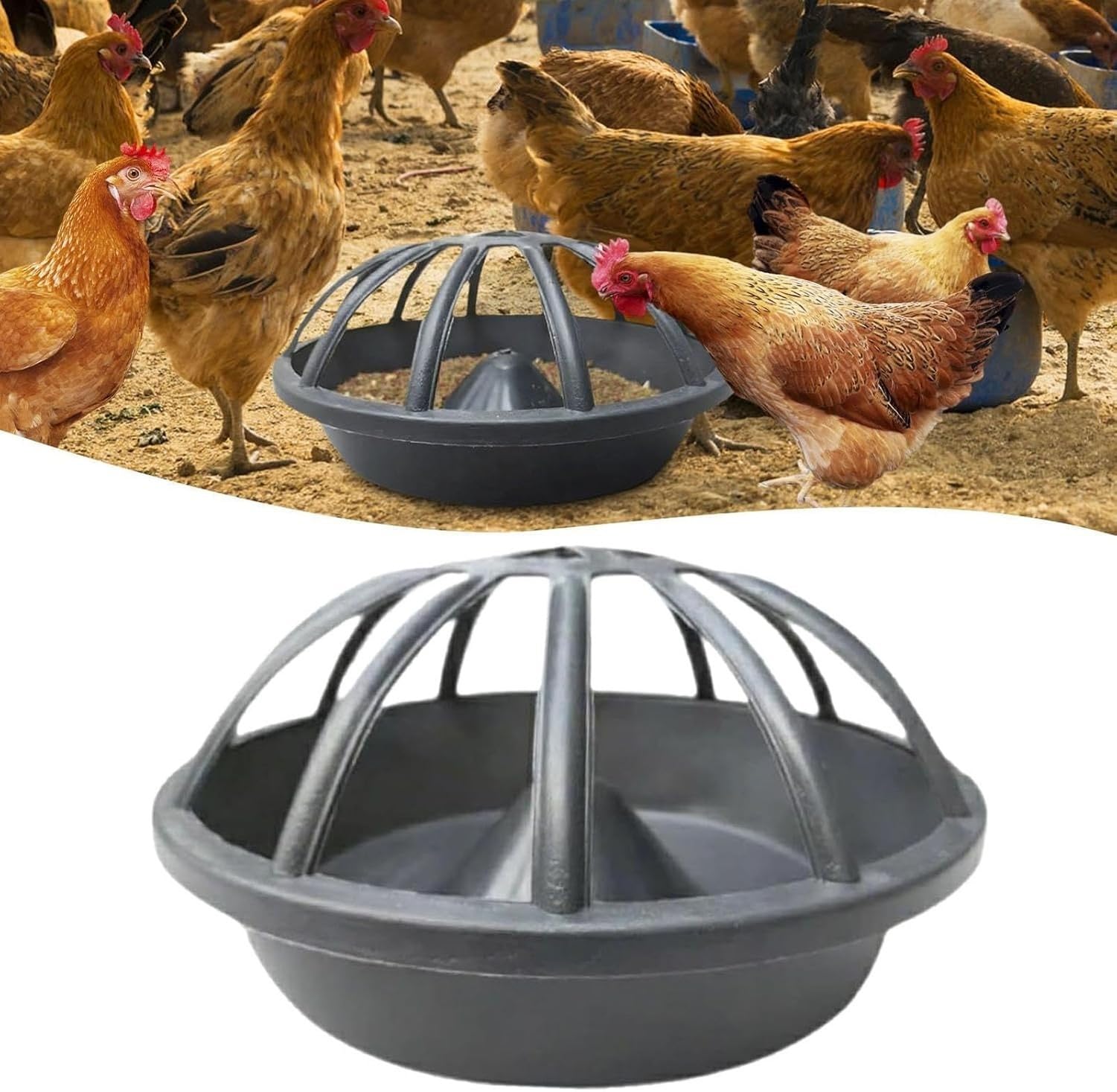 Mangiatoia Portatile per Polli Anatre Oche Uccelli da, 12 fori, 12 fori