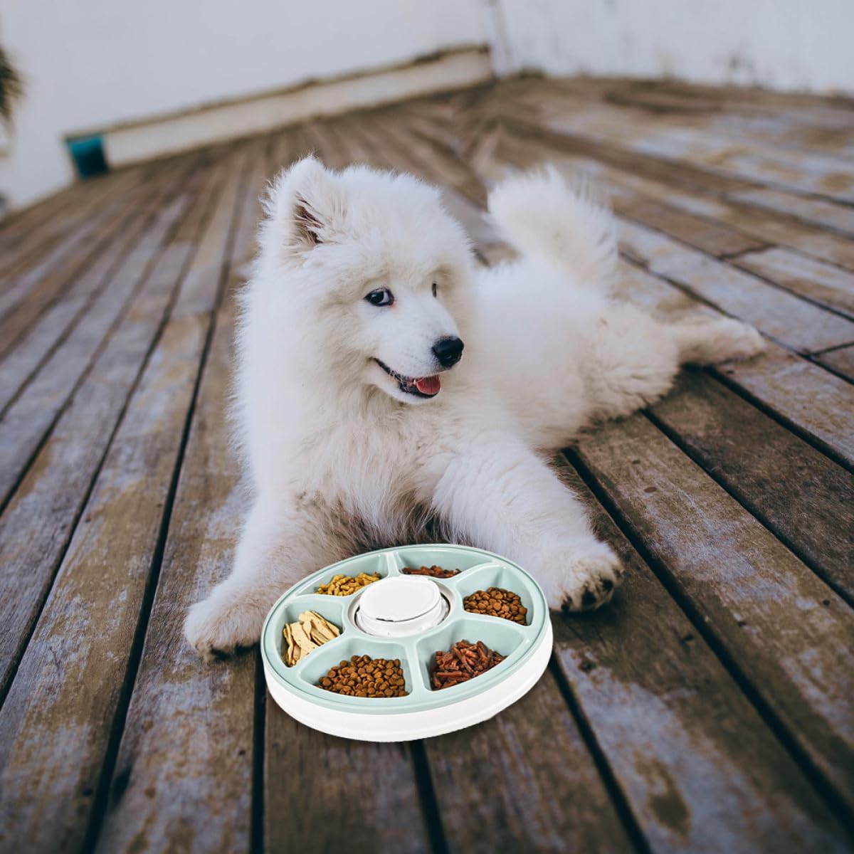 PRETYZOOM Comedero Automático para Perros Temporizador, Tazón para Mascotas de PS y Abs, Fácil de Limpiar Base Antideslizante, Adecuado para Colocar Esquina