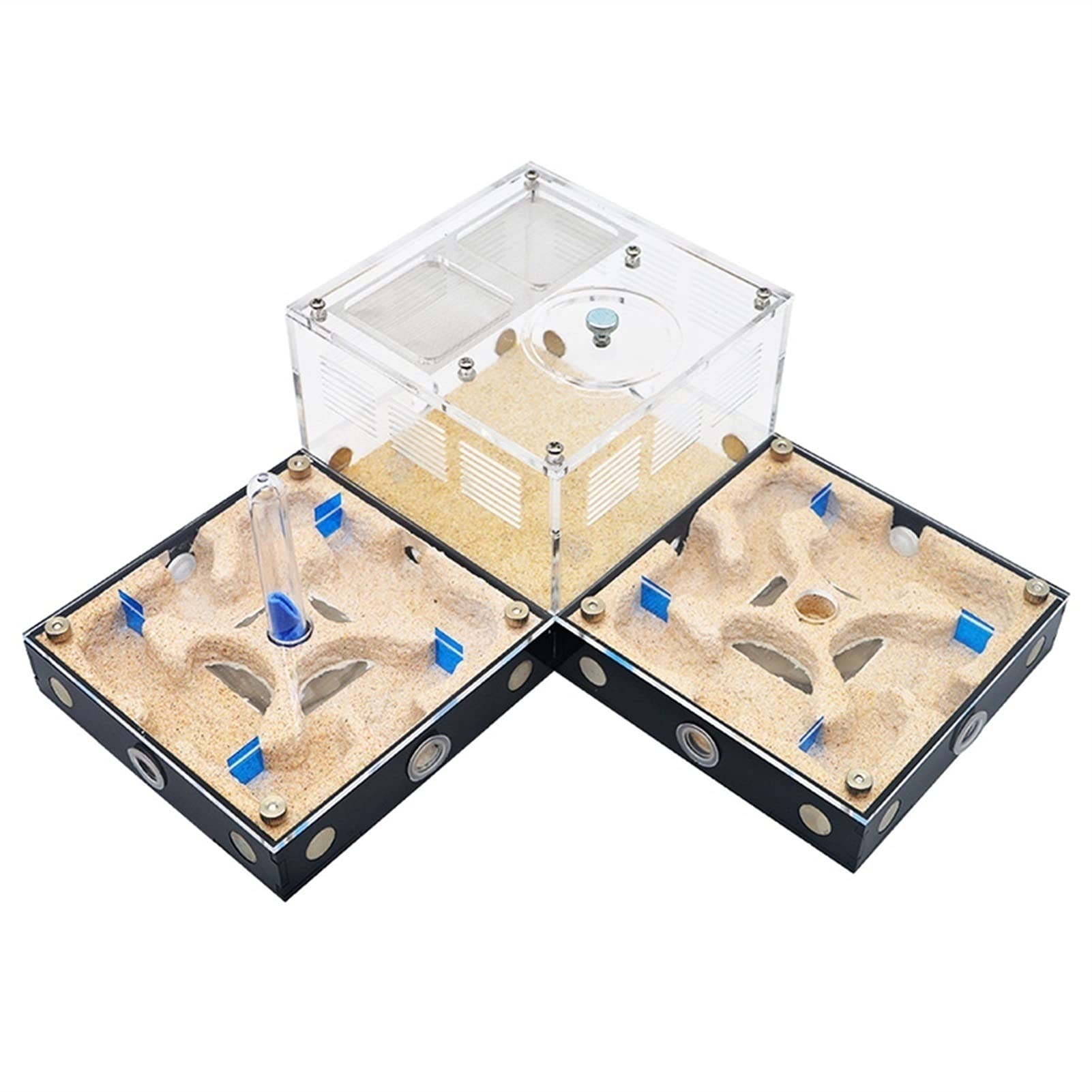 Formicario de Hormigas, Hormigón de expansión empalmable, Nido Hormiga Plano, hormigón acrílico con Torre Agua for Hormigas. Hábitat