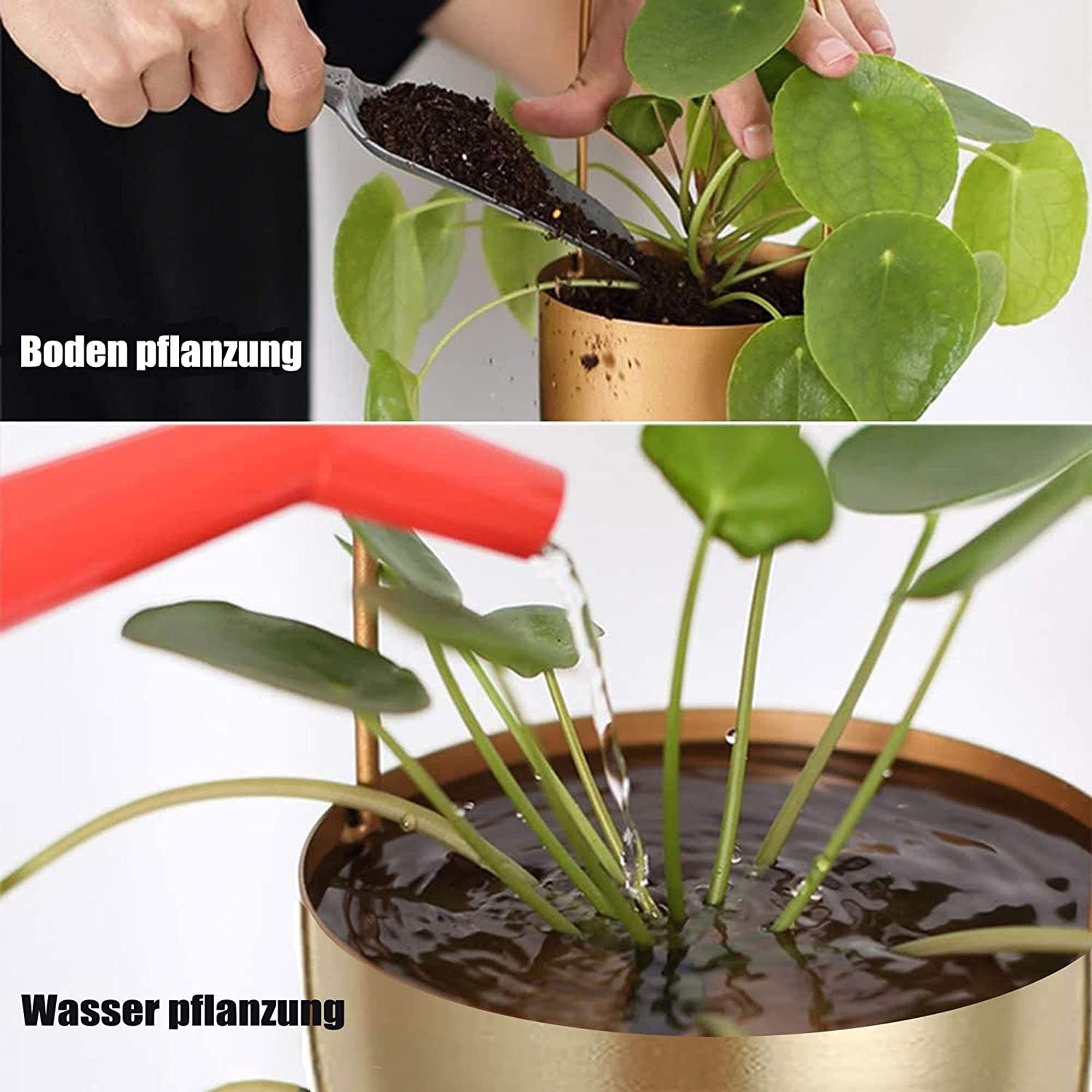 Lot de 2 suspensions pour plantes suspendues - Style bohème - Pour mur moderne et plafond - Pour plantes succulentes, herbes, petites plantes - Doré