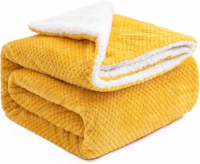 MIULEE Fleece Blanket Throw Fluffy Sherpa Fleece Blanke Solid Granule Blankets for Bed and Couch Single Size Soft Warm Microfiber Throw as Bedspread Travel Size 125x150cm 50x60 Inch Gold