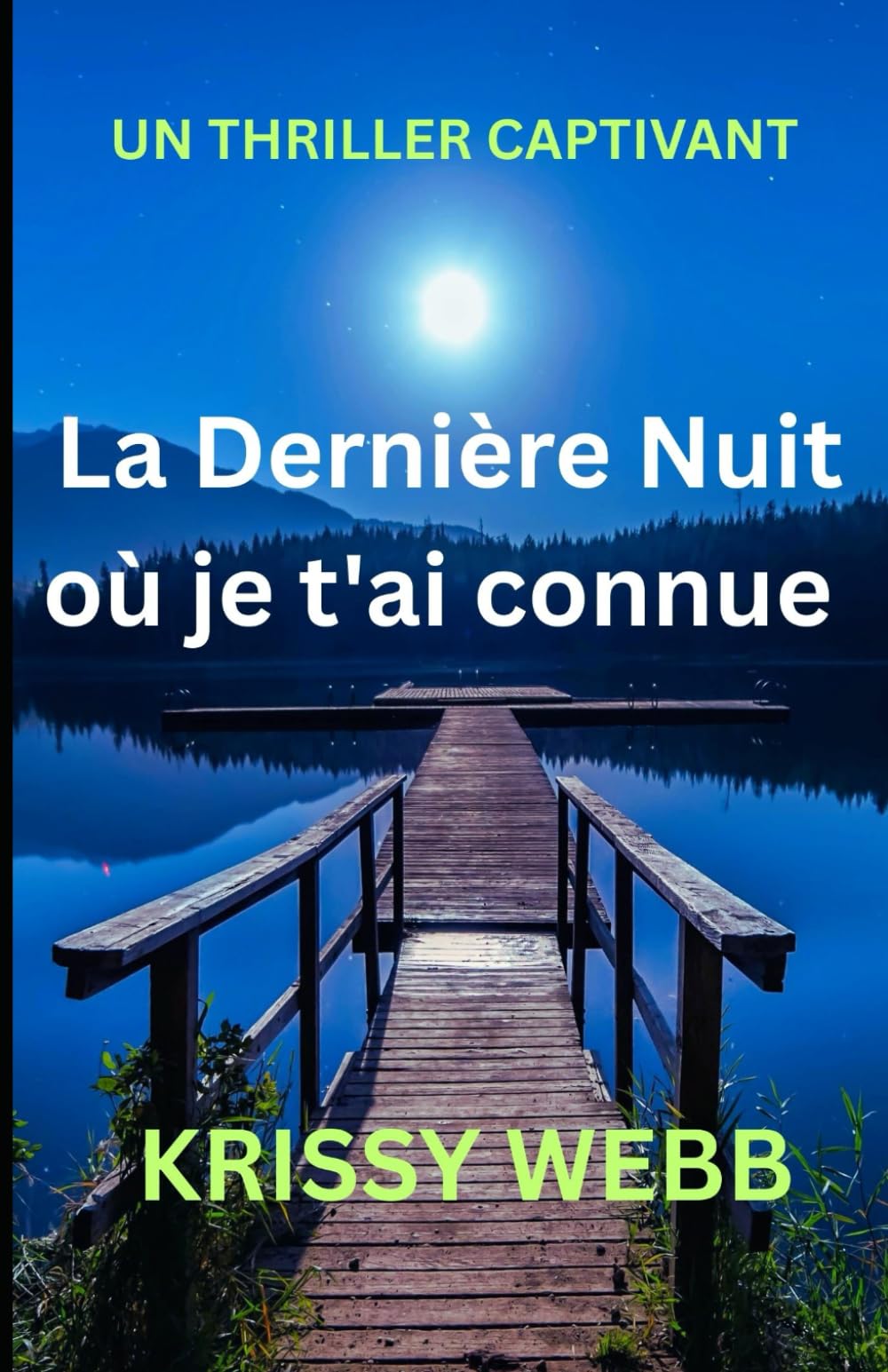 La Dernière Nuit où je t'ai connue