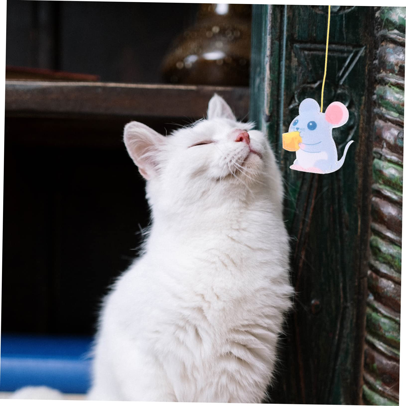 Yardwe 16stücke Katzen-Spielzeug Interaktivem Türhängespielzeug Mit Federn Und Geräuschen Für Indoor-kätzchen Aktiven Beschäftigung