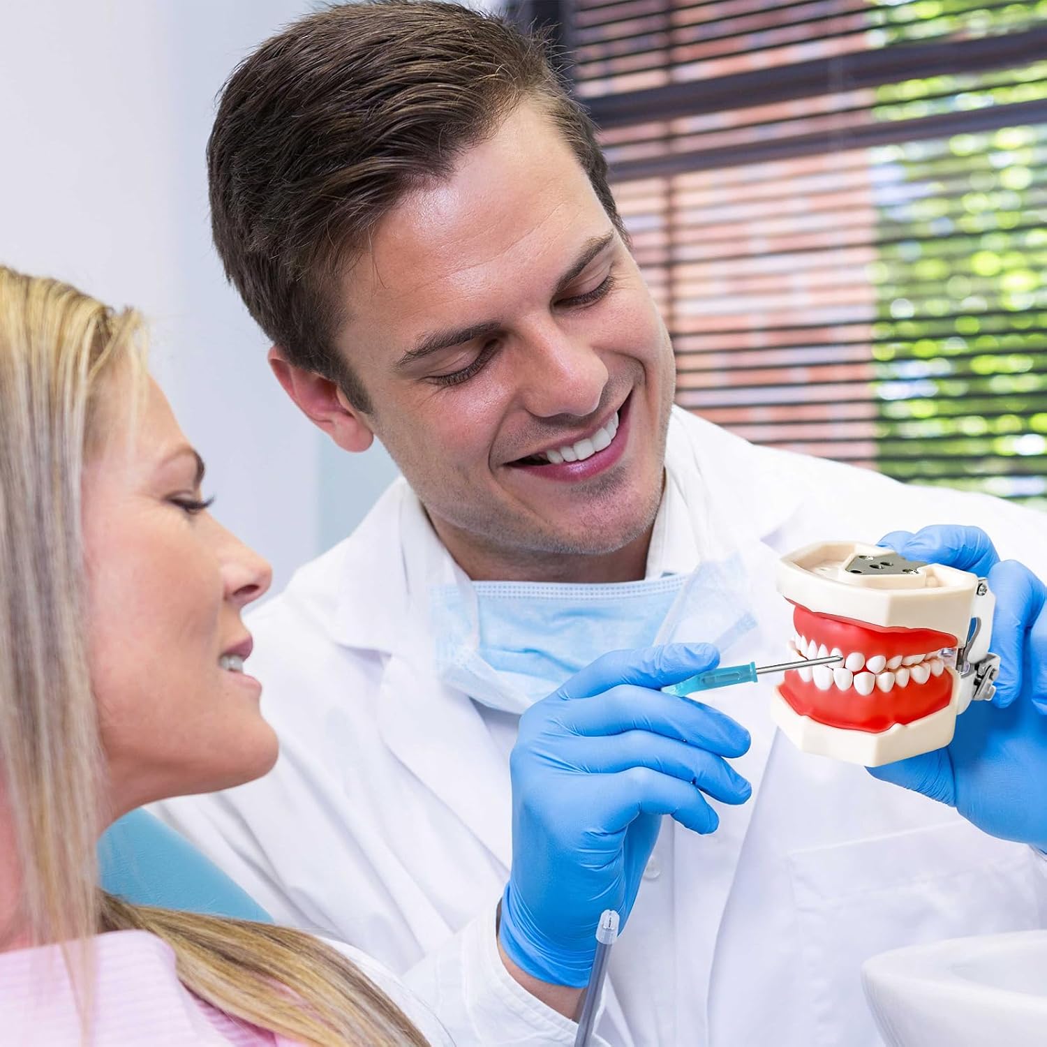 Dental Teaching Model with Training Teeth for Students and Professionals - Detachable Resin Teeth with Soft Gums, Dental Practice Tool with Screwdriver - Ideal for Dental Education, and Demonstrations