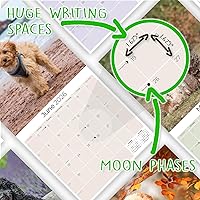 Vista 1137 de Razas de Perros 2017