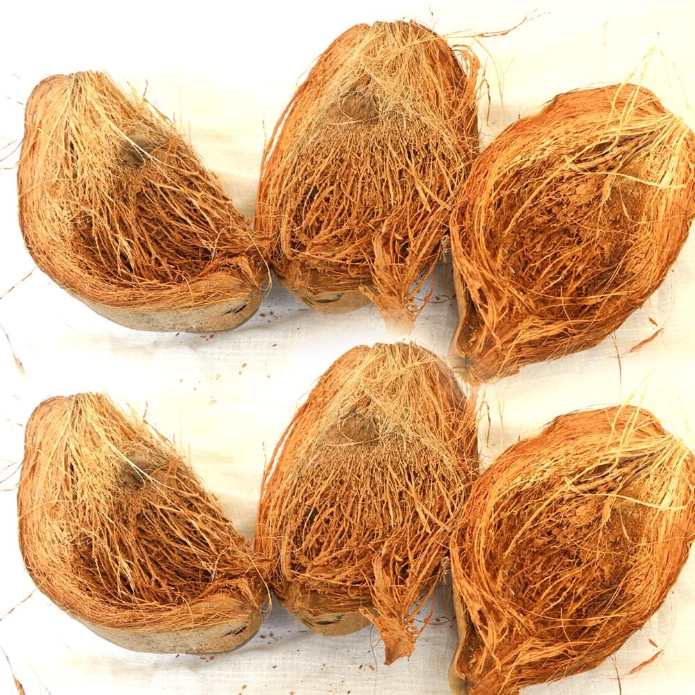 Zone Marketing Coconut Husk For Multipurpose,Orchids And Hydroponics 5kg Best result for plants-image-7