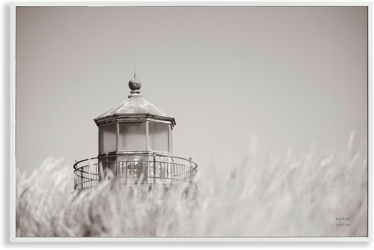 Stupell Industries Swaying Reeds & Lighthouse Framed Giclee Art Design by Nathan Larson