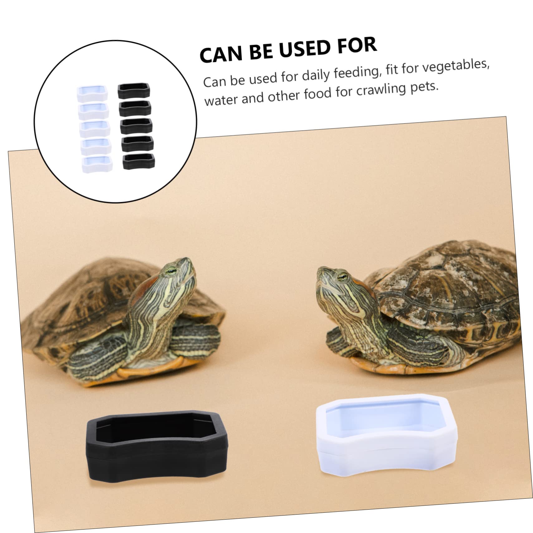 BESPORTBLE 40 Piezas Tazón De Comida para Mascotas Trepadoras Dispensador De Comida Lagarto Plato De Agua De Reptil Contenedor De Comida para Mascotas Comedero para Rana El Plastico