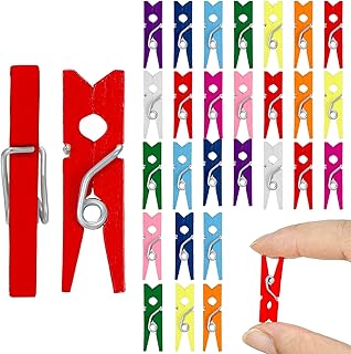 Fuyamp 100 Pcs Mini Craft Wooden Pegs,2.5cm Small Crafting Pegs Mini Wooden Peg Embellishments Tiny Pegs for Hanging photos,DIY Art and Craft Projects,Multiple Colour