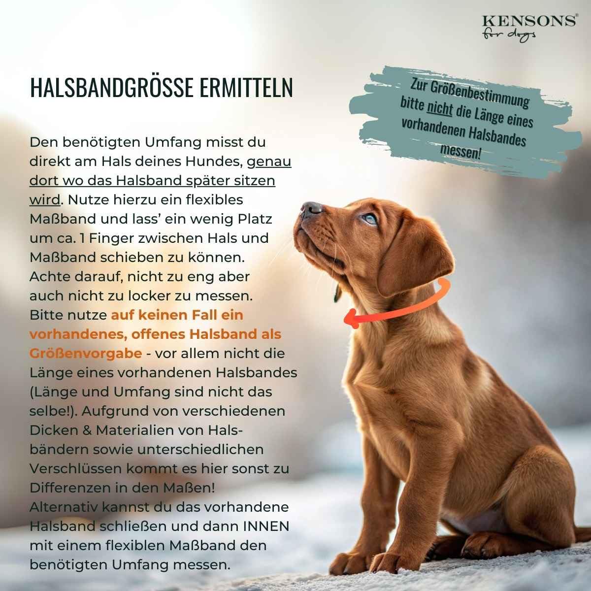 Hundehalsband aus Tau & edlem Leder | Highland Houndstooth | verstellbar & robust | Elegantes, handgefertigtes Design | Halsband Hund für mittelgroße & große Hunde mit Schnalle – beige