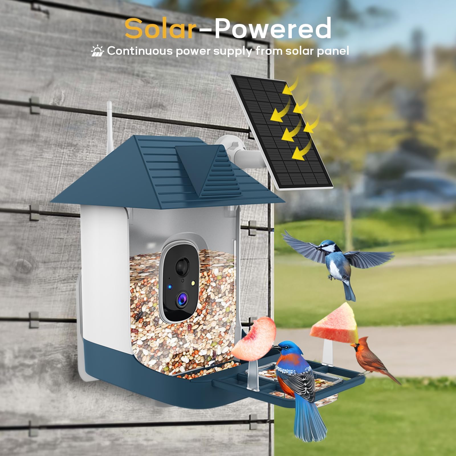 Comedero para pájaros con cámara, WiFi para exteriores inteligente con reconocimiento de pájaros AI integrado, alimentado por energía solar, grabación automática de video por almacenamiento en la nube 5