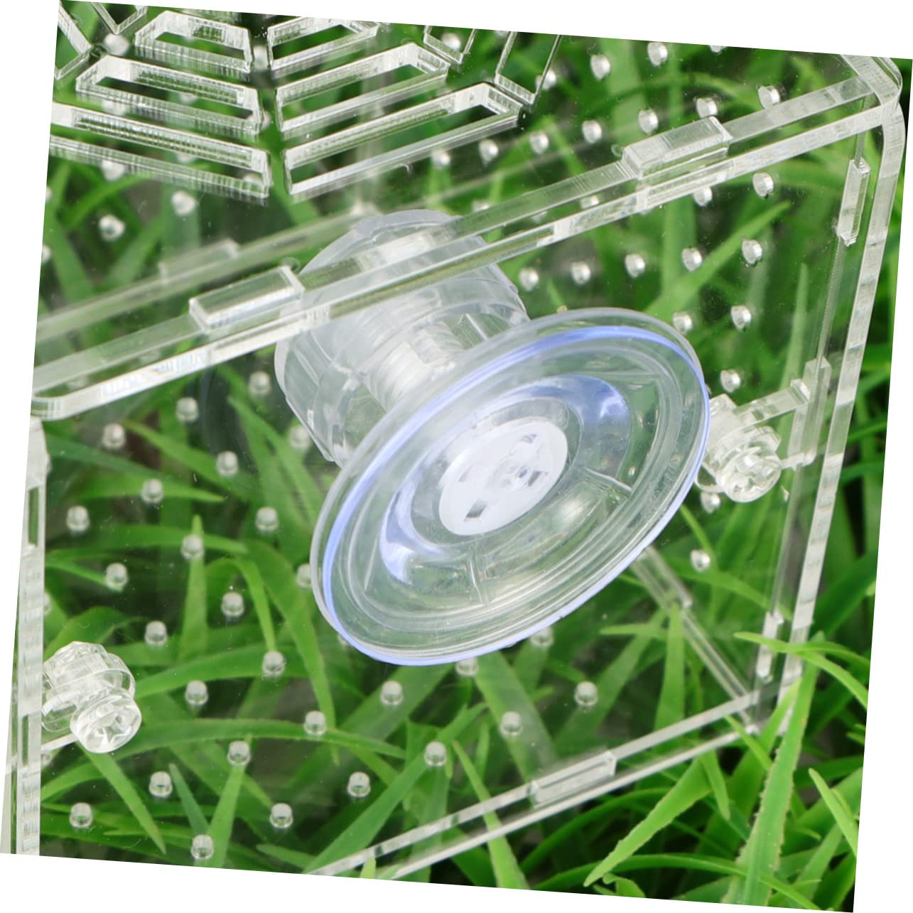 BESPORTBLE Aquarium Breeding Box - Transparent Fish Tank Hatchery With Suction Cups For Fry & Shrimp