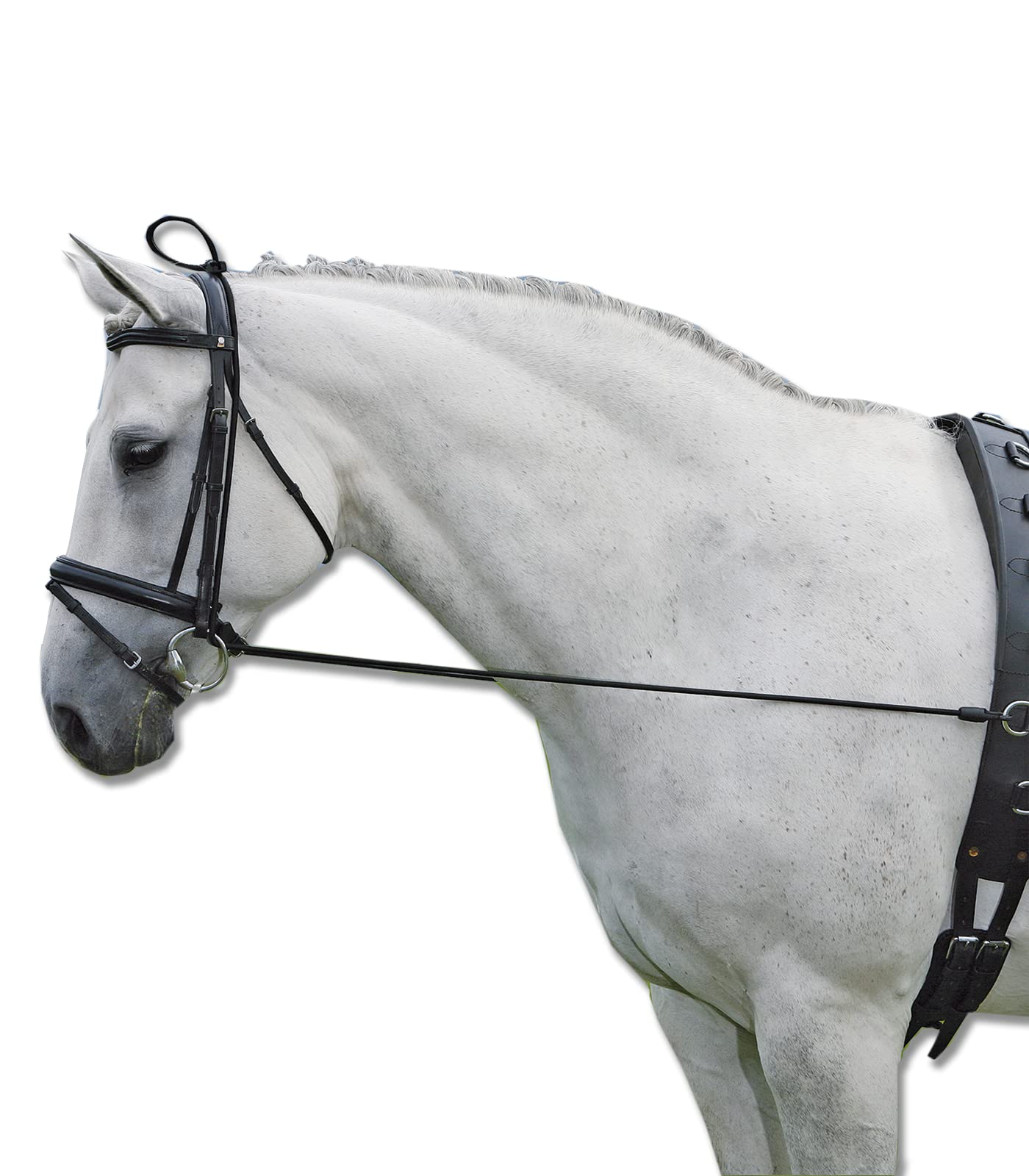 Neck extender Waldhausen extenseur d'encolure en cordelette
