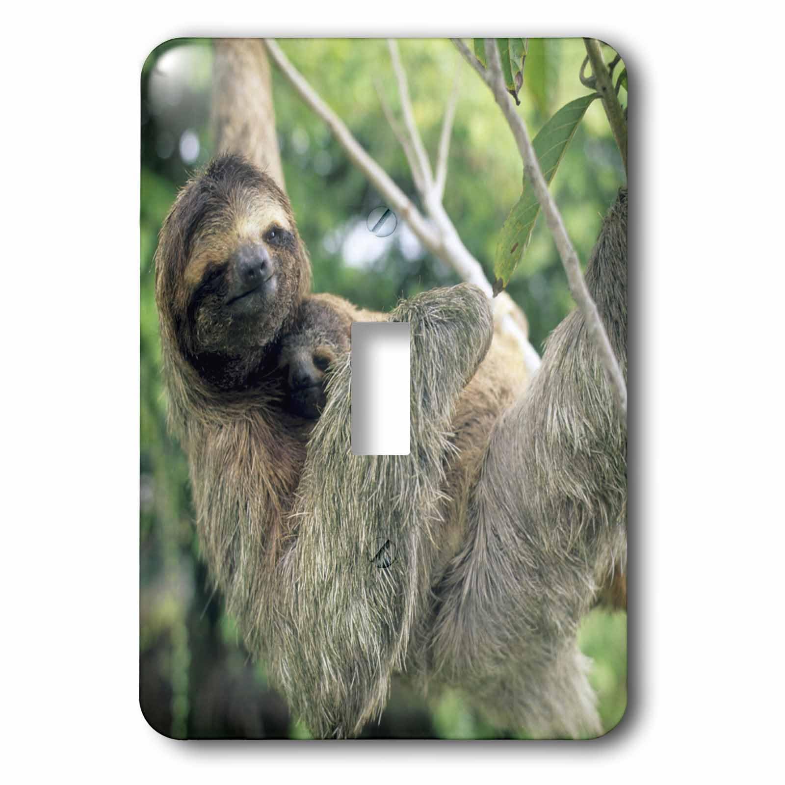 Commutateur haut de gamme Corcovado Costa Rica 3dRose lsp_87218_1 finition artistique