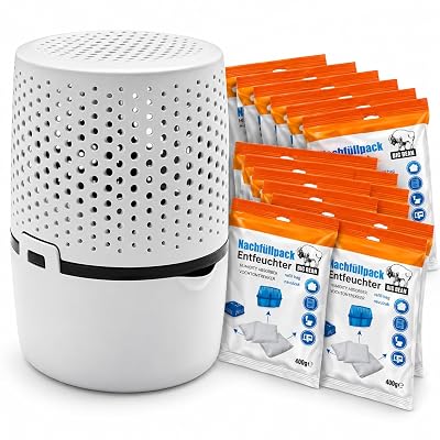 Vue 12