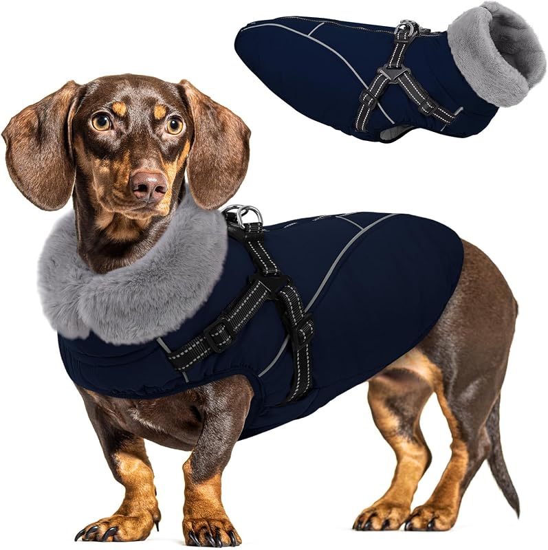 Casaco de Inverno para Cães com Peitoral Integrado Queenmore, Azul-escuro, tamanho M